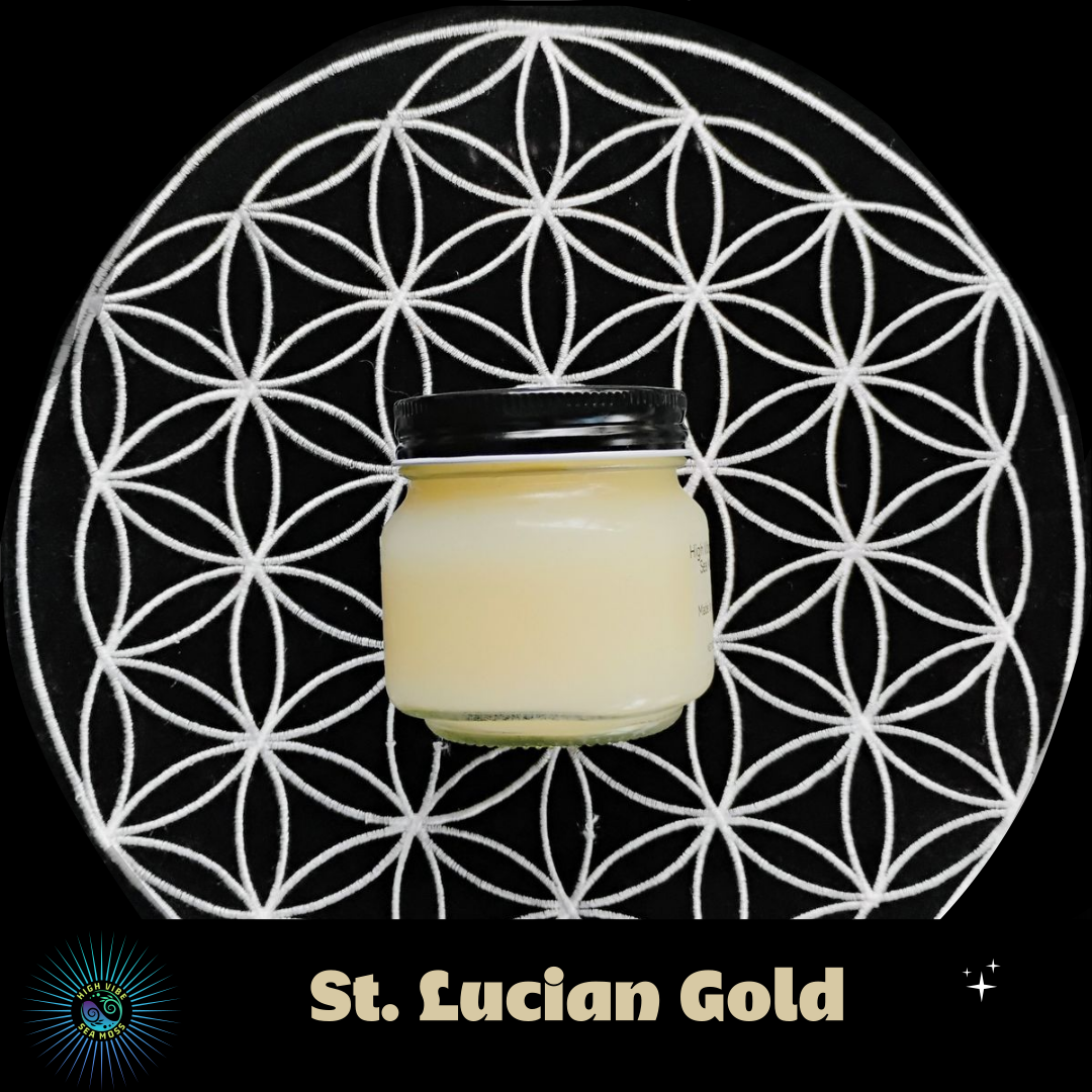 St. Lucian Gold Sea Moss Gel (Genus Gracilaria)