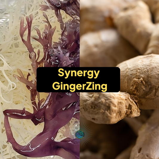 Synergy Ginger Zing Sea Moss Gel