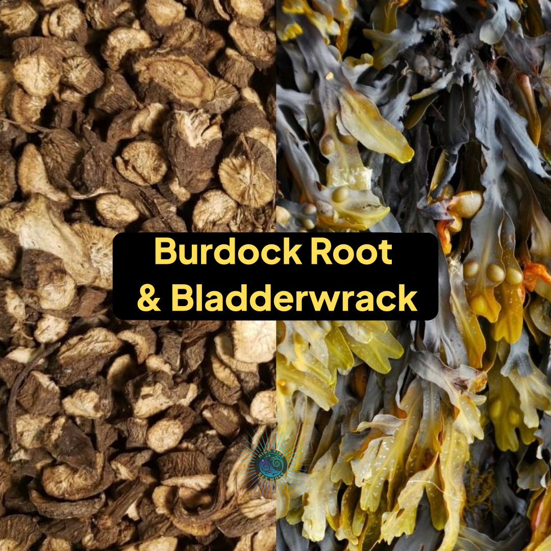 Burdock Root and Bladderwrack Sea Moss Gel | All 102 Minerals