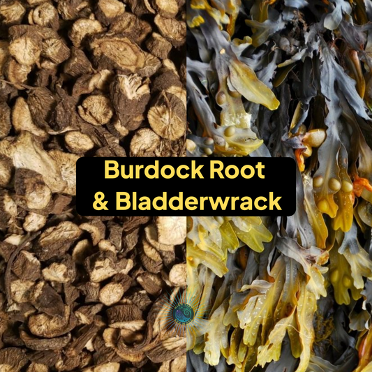 Burdock Root and Bladderwrack Sea Moss Gel | All 102 Minerals