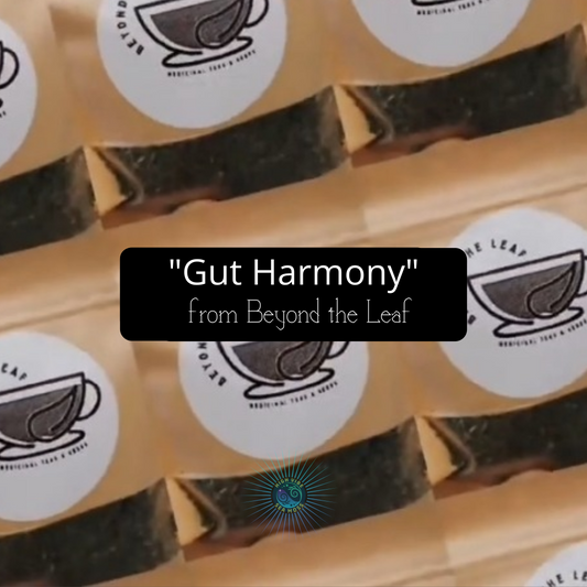 "Gut Harmony" Sea Moss Gel | Digestive health