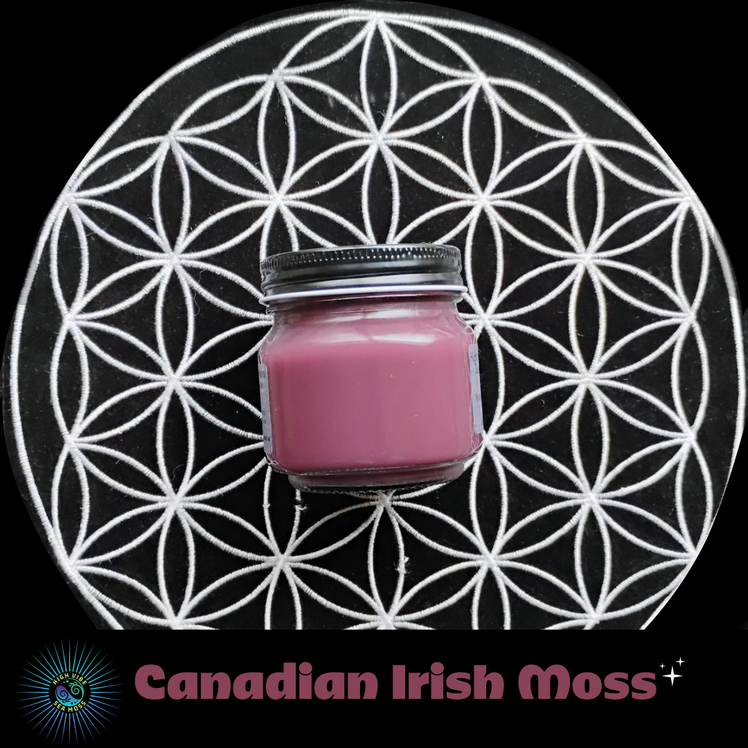 Canadian Irish Moss Gel (Chondrus Crispus)