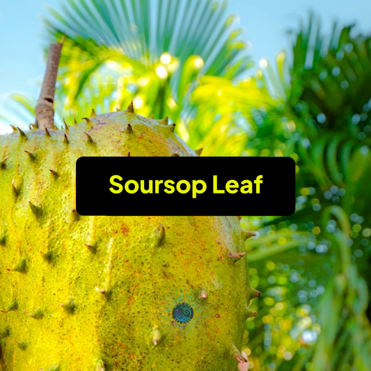 Soursop Leaf Sea Moss Gel