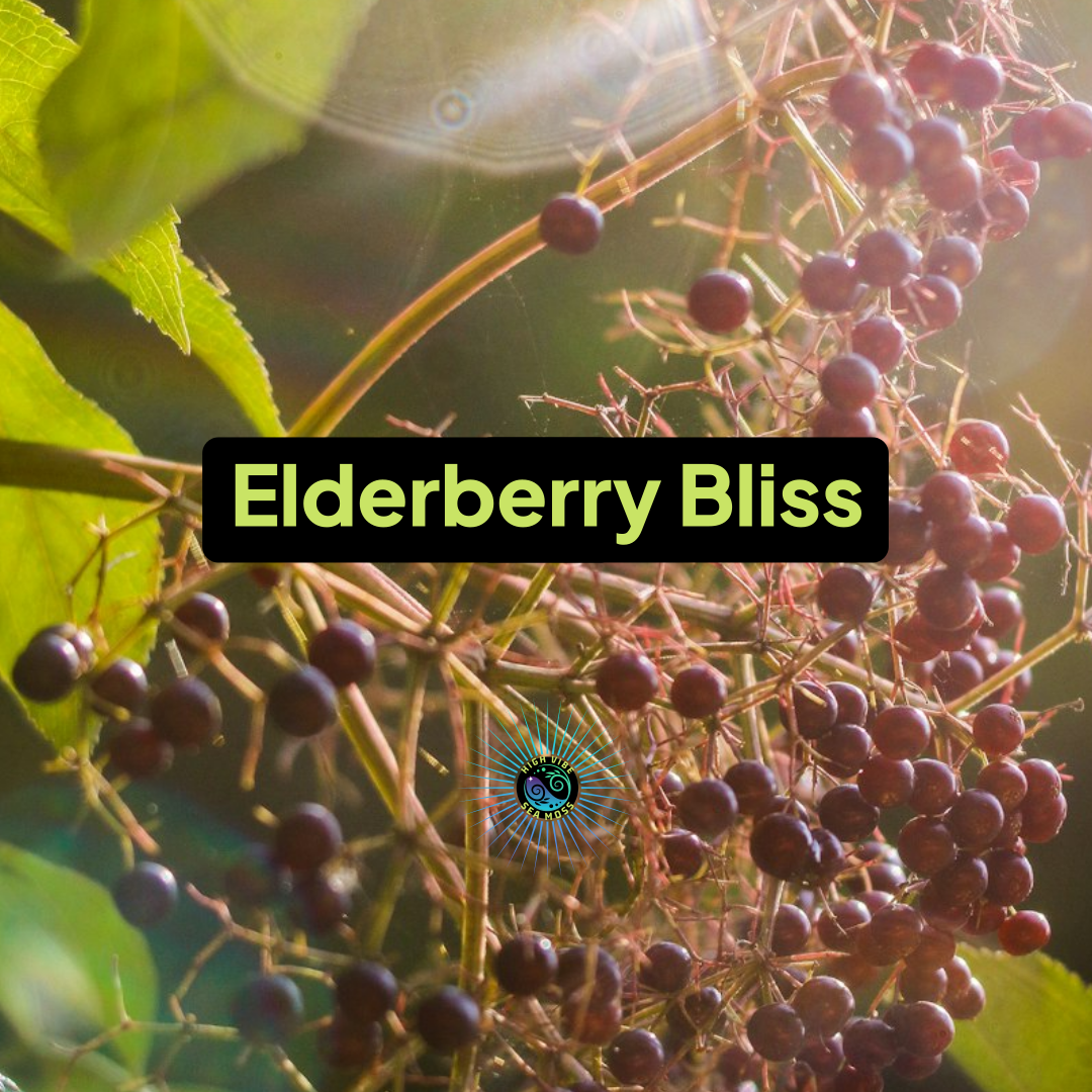 Elderberry Bliss Sea Moss Gel