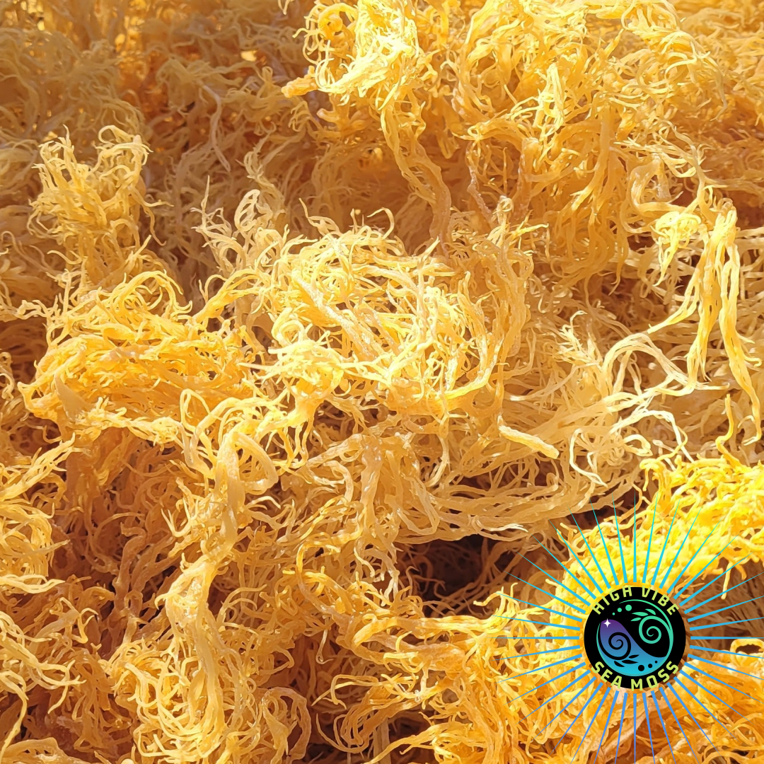 St. Lucian Gold Sea Moss Gel (Genus Gracilaria)